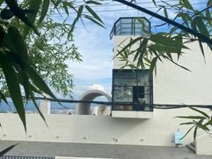 -南山植物园