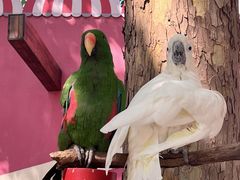 -北京野生动物园