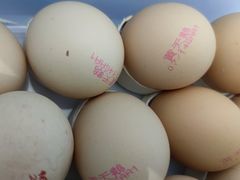 -盒马鲜生(龙德广场店)