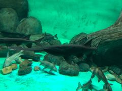 -常州海昌海洋探索馆