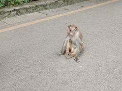 -黔灵山公园