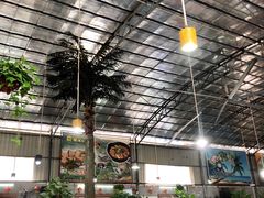 大堂-石岐乳鸽村(桥观坊南四巷店)