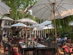-Fern Forest Cafe