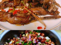 -广东茂名森林公园