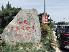 -洛阳古墓博物馆