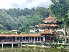 -深圳仙湖植物园