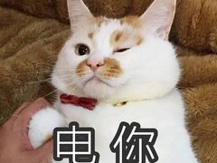 -满记甜品(南京虹悦城三店)