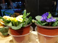 -长寿面(北京西路店)