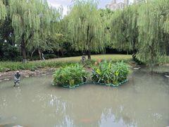 -苏州河梦清园环保主题公园