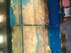 android_upload_pic-鑫海汇海鲜烤肉自助(北国商城店)
