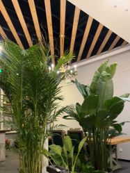 -芳香乐府疗愈空间·SPA·冥想