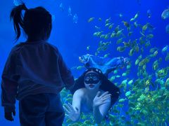 -太平洋海底世界