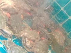 -锅老头铁锅炖•大锅蒸汽海鲜(韩乐坊店)