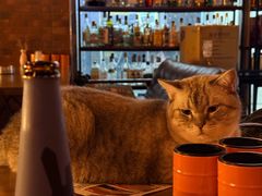 -故遥酒馆.赛事直播