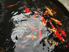 -华庭苑农家乐(旺山店)