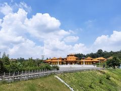 -三水森林公园
