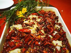-天堂鸟水煮鱼·烟火川菜(凤凰路店)