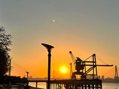 -游心咖啡(青山滨江店)