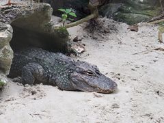 -河川生态园