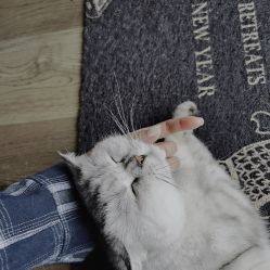 -729CLUB美式风格纹身店