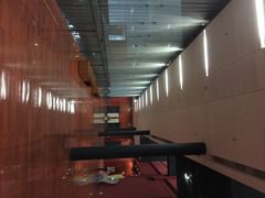 iphone_upload_pic-广东省博物馆