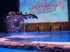 -华夏文旅海洋公园