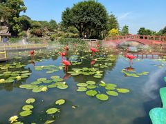 -广州莲花山旅游区