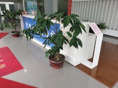 -上海第119机动车安全检测站