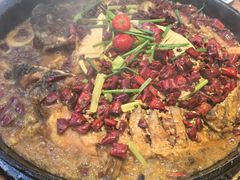 -老板恋上鱼(恒隆广场店)