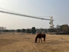 -武汉紫薇都市田园