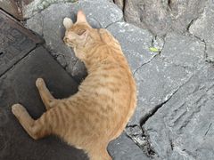-磁器口古镇