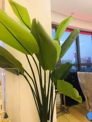 -E.L.K造型momopark店