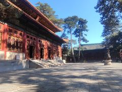 -普乐寺