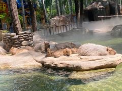 -北京野生动物园