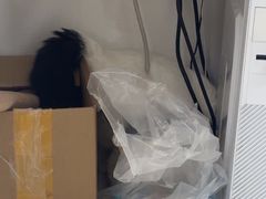 -佳雯宠物医院·皮肤科·内外科(春晓路分院)