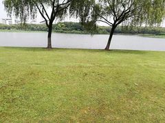 -东华大学(松江校区)
