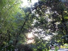 android_upload_pic-新竹里馆·花园餐厅(兴苑路店)