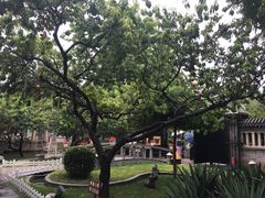 -卫鼎轩·曹公馆(鼓楼店)