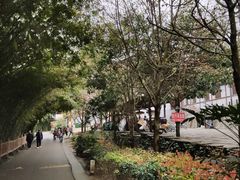 -贵阳市花溪国家城市湿地公园