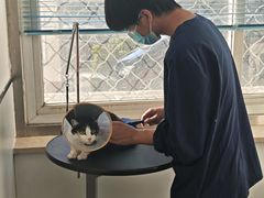 -萌兽医馆·绝育·24小时内科·宠物医院(德胜店)