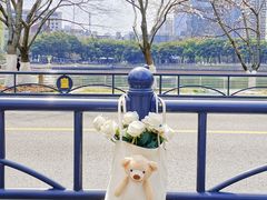 -西北湖绿化广场