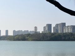 -暨阳湖生态园