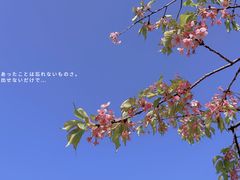 -上海辰山植物园