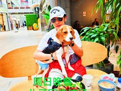 -日本大使馆-新闻文化中心