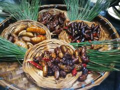 -昆虫窝子·特色云南菜(拓东路总店)