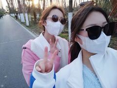 -合肥滨湖国家森林公园