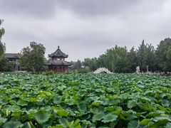 -莲池书院博物馆