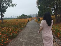 -洋湖国家湿地公园