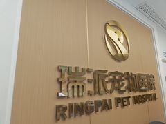 -瑞派康怡24h宠物医院·犬猫医疗中心·微创绝育(瑞景分院)