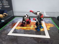 -中国宋庆龄青少年科技文化交流中心